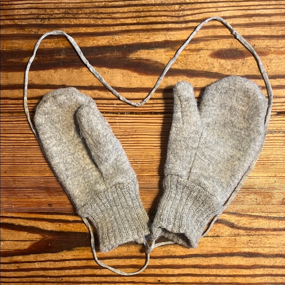 Disana Boiled Wool Mittens